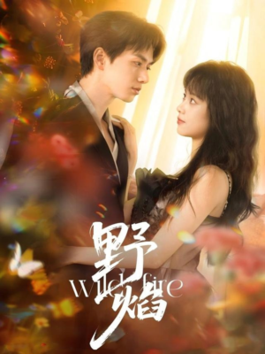 野焰(60集) 野焰(60集)迅雷网盘观看