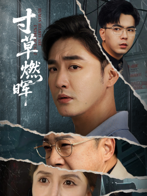 寸草燃晖(70集) 寸草燃晖(70集)精彩短剧合集