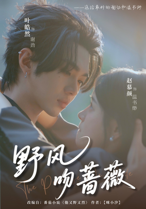 野风吻蔷薇(78集) 野风吻蔷薇(78集)第三季