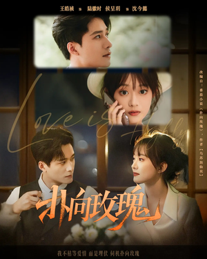 扑向玫瑰(77集) 扑向玫瑰(77集)好短剧分享