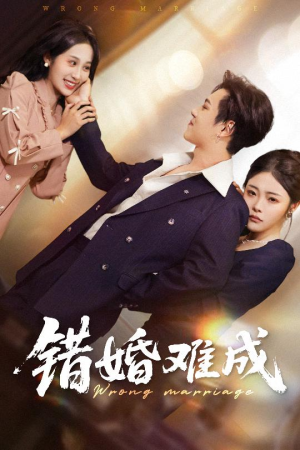 错婚难成(45集) 错婚难成(45集)夸克网盘观看