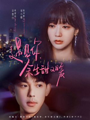 遇见你余生甜又暖(70集) 遇见你余生甜又暖(70集)去哪里看