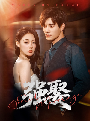 强娶(80集) 强娶(80集)网上可以看吗