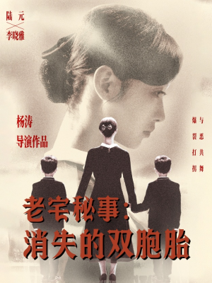 老宅秘事消失的双胞胎(90集) 老宅秘事消失的双胞胎(90集)第一集