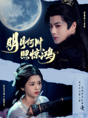 明月何时照惊鸿(80集) 明月何时照惊鸿(80集)热门短剧推广