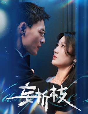 妄折枝(53集) 妄折枝(53集)高清无码免费看