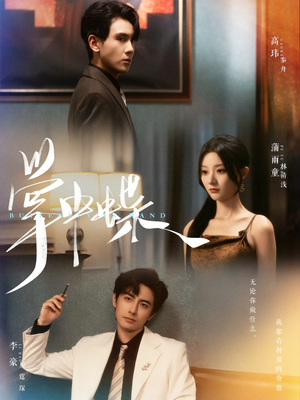 掌中蝶(84集) 掌中蝶(84集)看过的人都说好