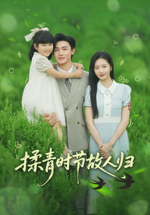 揉青时节故人归(60集) 揉青时节故人归(60集)火热短剧抢先看