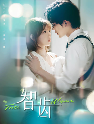 智齿(59集) 智齿(59集)零花钱看整部剧