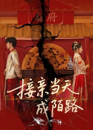 接亲当天成陌路(50集) 接亲当天成陌路(50集)一口气追完全集