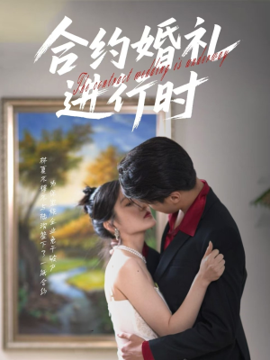 合约婚礼进行时(30集) 合约婚礼进行时(30集)最火短剧热播