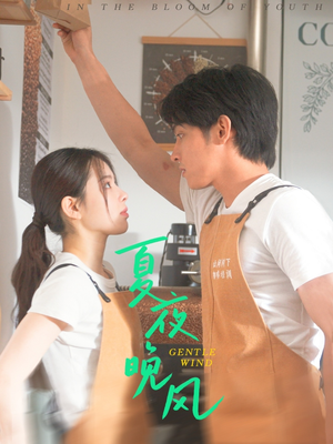 夏夜晚风(12集) 夏夜晚风(12集)深深爱上这部剧