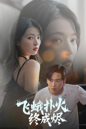 飞蛾扑火终成烬(60集) 飞蛾扑火终成烬(60集)看过的人都说好
