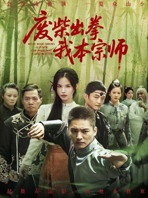 废柴出拳我本宗师(61集) 废柴出拳我本宗师(61集)在哪看免费