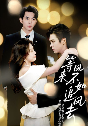 等风来不如追风去(72集) 等风来不如追风去(72集)热门短剧排行榜