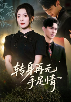 转身再无手足情(71集) 转身再无手足情(71集)在线观看完整版