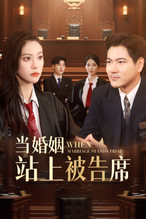 当婚姻站上被告席(30集) 当婚姻站上被告席(30集)爆款短剧推荐