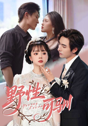 野性可驯(63集) 野性可驯(63集)短剧精彩片段