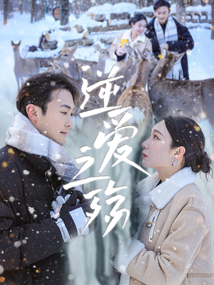 逆爱之殇(60集) 逆爱之殇(60集)在线观看全集