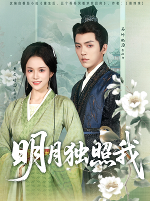 明月独照我(80集) 明月独照我(80集)第三季
