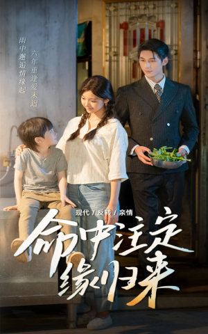 命中注定缘归来（63集）免费短剧大全