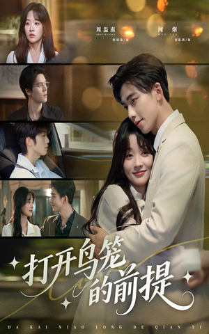 打开鸟笼的前提（43集）精彩短剧下载