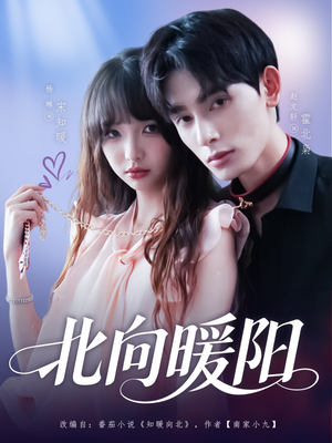 北向暖阳（80集）短剧越看越精彩