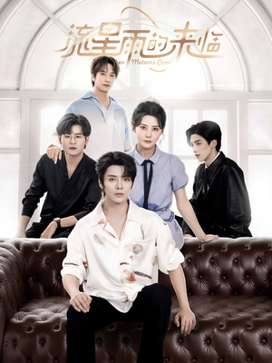 流星雨的来临(40集) 流星雨的来临(40集)评价怎么样