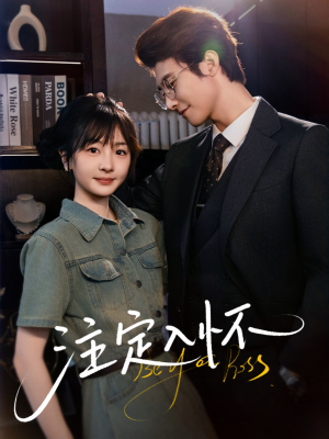 注定入怀（70集）热门短剧推荐