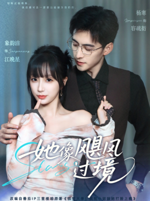 她像飓风过境（81集）短剧热门推荐