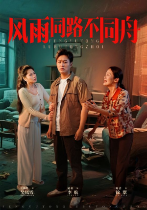 风雨同居不同舟（32集）在线免费观看