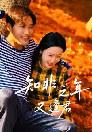 知非之年又逢君（62集）爆款短剧追不停