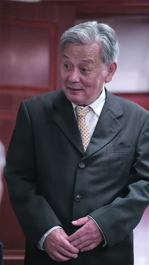 带娃大叔偷走叶小姐的心 (41集) 看到了大结局