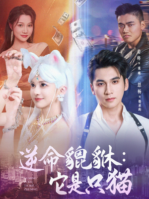 逆命貔貅它是只猫（35集）怎么看全集