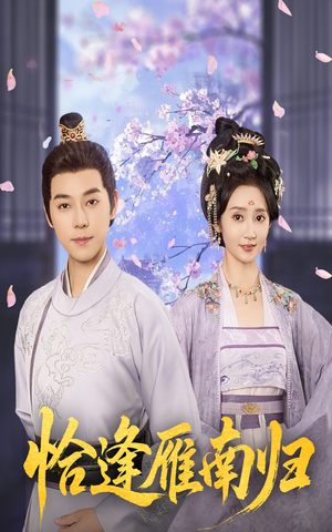 恰逢雁南归（51集）一口气看完全集