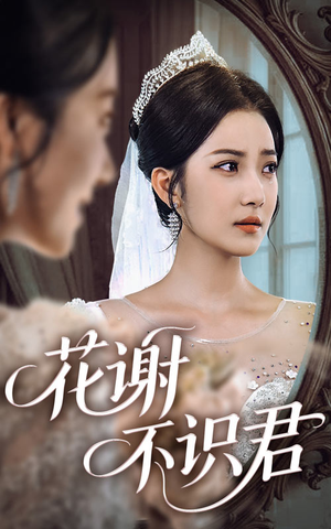 花谢不识君（40集）短剧分享剧集