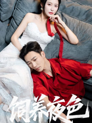 饲养夜色（86集）全集免费看短剧