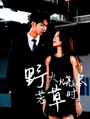 野火烧尽芳草时（65集）在线播放
