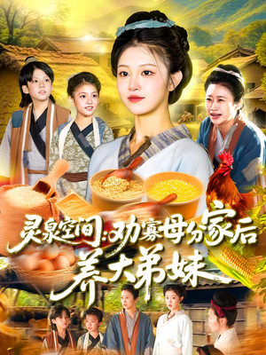 灵泉空间劝寡母分家后养大弟妹（112集）百度网盘资源
