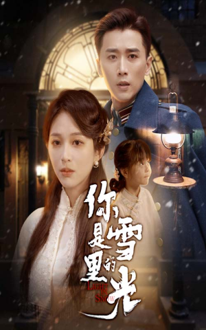 你是雪里的光（64集）热门短剧分享