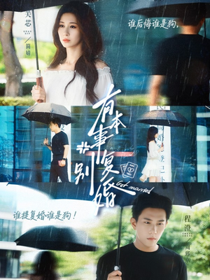 有本事别复婚（79集）精彩短剧下载