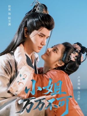 小姐万万不可（74集）常回家看看短剧