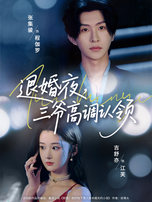 退婚夜三爷高调认领（70集）网盘在线观看
