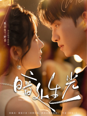 暗处生光（82集）短剧热门合集