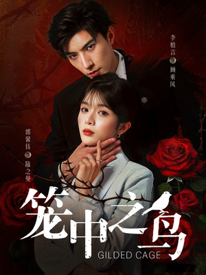 笼中之鸟（70集）免费看全集