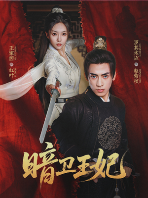 暗卫王妃(60集) 暗卫王妃(60集)好看的短剧