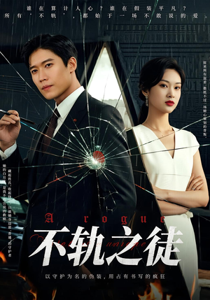 不轨之徒（72集）剧情简介