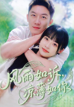 风雨如诉凉薄如你（70集）热门火爆短剧