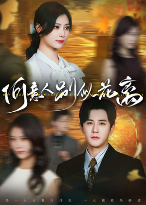 何意人别似花离(61集) 何意人别似花离(61集)越看越好看短剧