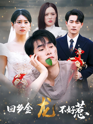 回乡金龙不好惹（74集）好看短剧推荐